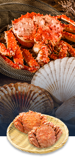 北海道の水産 鱗魚問屋